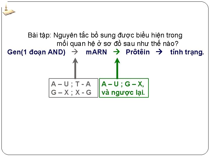 Bài tập: Nguyên tắc bổ sung được biểu hiện trong mối quan hệ ở