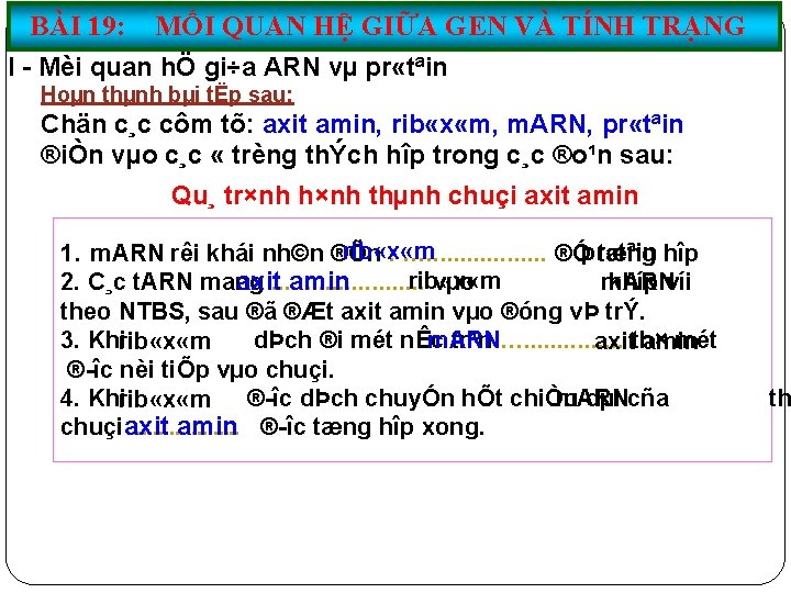 BÀI 19: MỐI QUAN HỆ GIỮA GEN VÀ TÍNH TRẠNG I Mèi quan hÖ