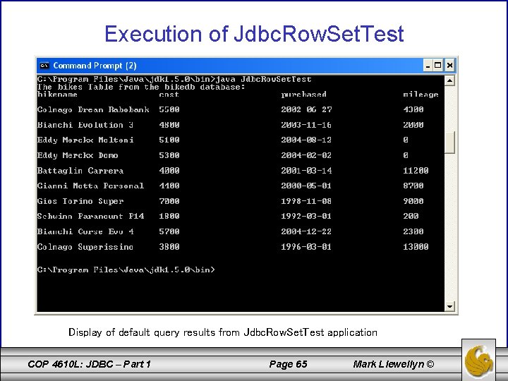 Execution of Jdbc. Row. Set. Test Display of default query results from Jdbc. Row.