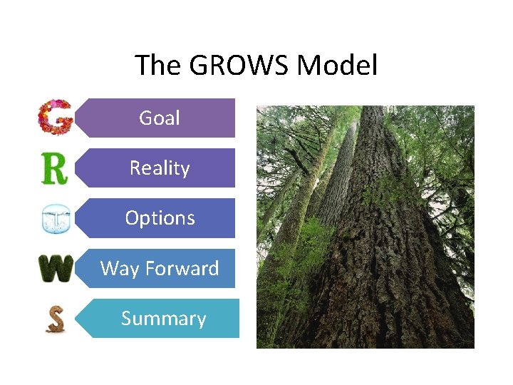 The GROWS Model Goal Reality Options Way Forward Summary The GROWS Model Goal Reality Options Way Forward Summary
