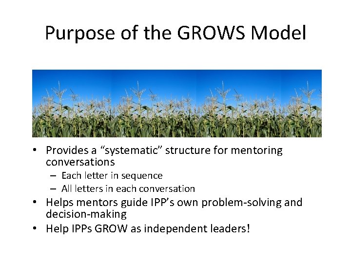 Purpose of the GROWS Model • Provides a “systematic” structure for mentoring conversations – Purpose of the GROWS Model • Provides a “systematic” structure for mentoring conversations –