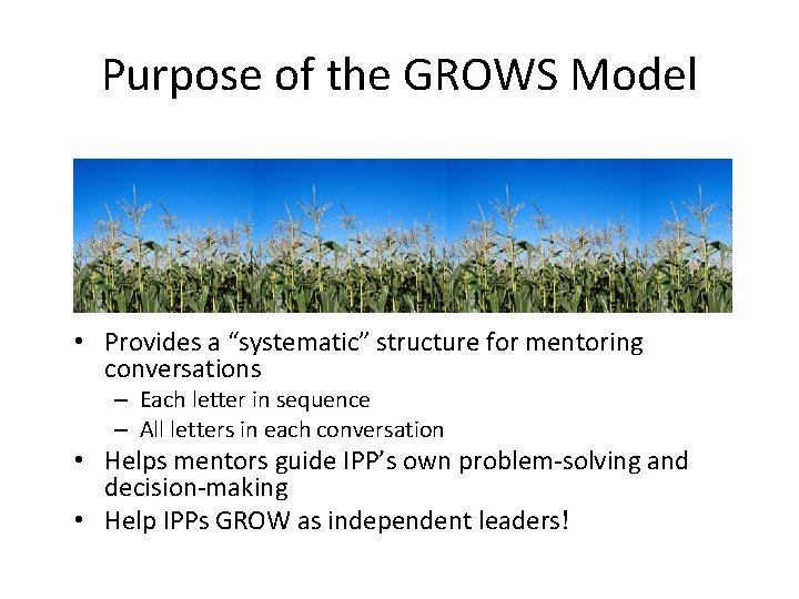 Purpose of the GROWS Model • Provides a “systematic” structure for mentoring conversations –