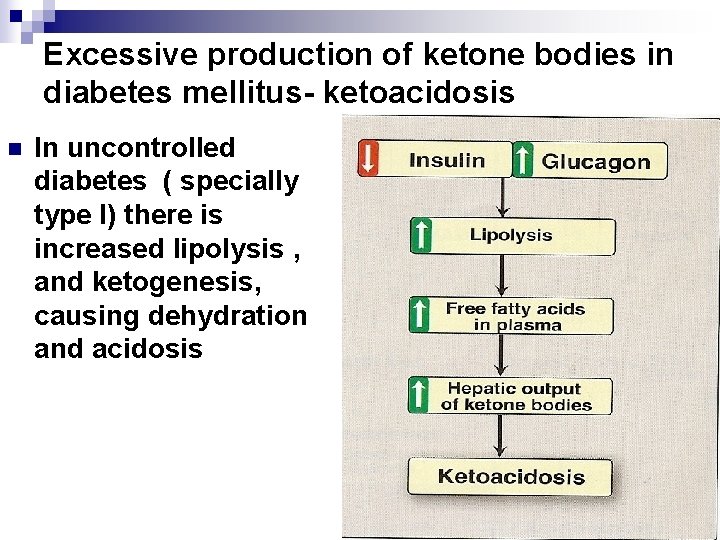 Excessive production of ketone bodies in diabetes mellitus- ketoacidosis n In uncontrolled diabetes (