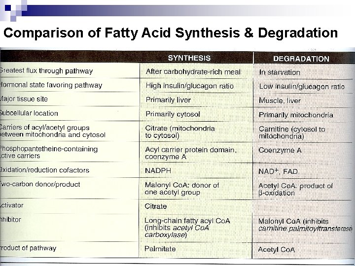 Comparison of Fatty Acid Synthesis & Degradation 