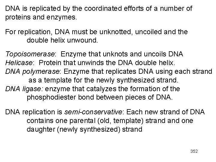 DNA is replicated by the coordinated efforts of a number of proteins and enzymes.