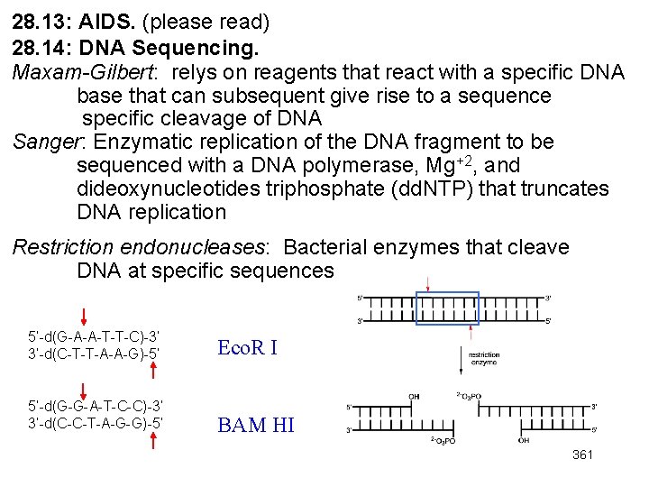 28. 13: AIDS. (please read) 28. 14: DNA Sequencing. Maxam-Gilbert: relys on reagents that