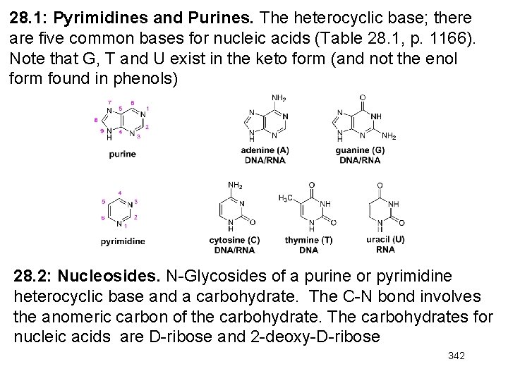 28. 1: Pyrimidines and Purines. The heterocyclic base; there are five common bases for