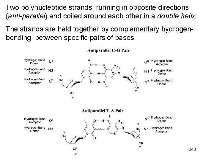 Two polynucleotide strands, running in opposite directions (anti-parallel) and coiled around each other in