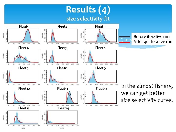 Results (4) size selectivity fit Fleet 1 Fleet 2 Fleet 3 Before iterative run