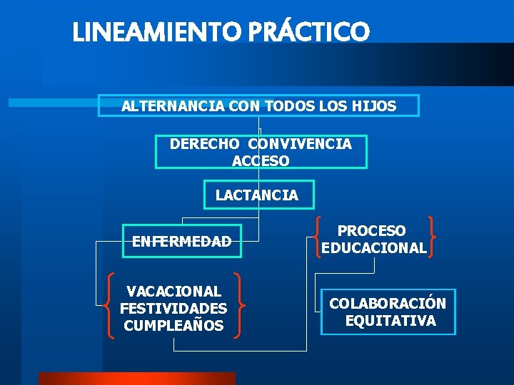 LINEAMIENTO PRÁCTICO ALTERNANCIA CON TODOS LOS HIJOS DERECHO CONVIVENCIA ACCESO LACTANCIA ENFERMEDAD VACACIONAL FESTIVIDADES