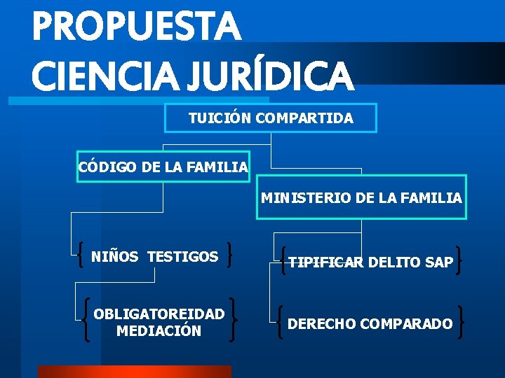 PROPUESTA CIENCIA JURÍDICA TUICIÓN COMPARTIDA CÓDIGO DE LA FAMILIA MINISTERIO DE LA FAMILIA NIÑOS