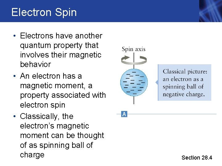 Electron Spin • Electrons have another quantum property that involves their magnetic behavior •