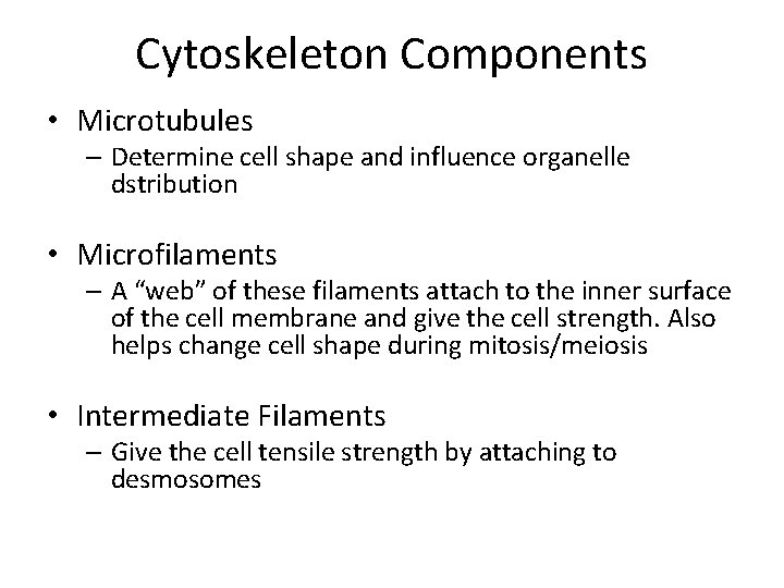 Cytoskeleton Components • Microtubules – Determine cell shape and influence organelle dstribution • Microfilaments