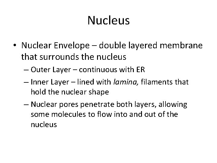 Nucleus • Nuclear Envelope – double layered membrane that surrounds the nucleus – Outer