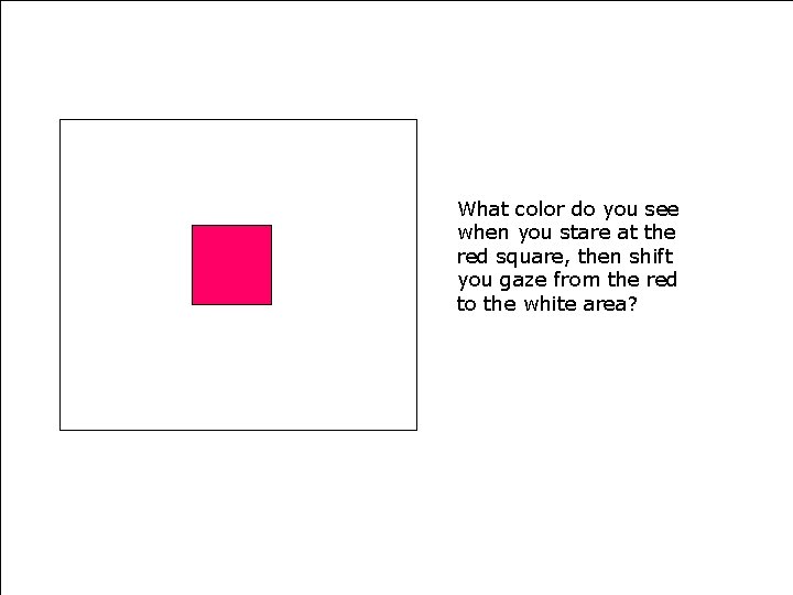 What color do you see when you stare at the red square, then shift