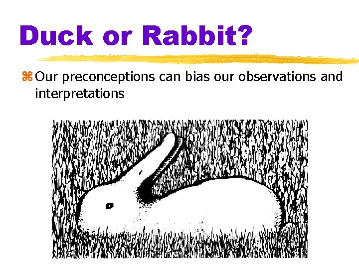 Duck or Rabbit? z Our preconceptions can bias our observations and interpretations 