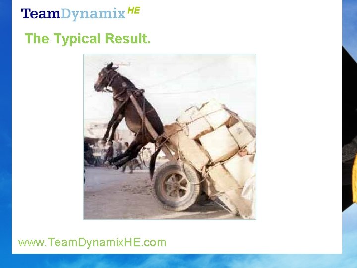 The Typical Result. www. Team. Dynamix. HE. com 
