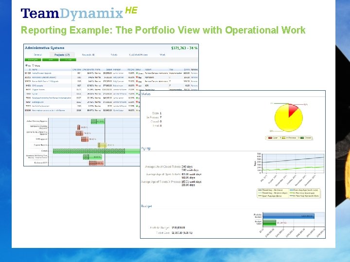 Reporting Example: The Portfolio View with Operational Work 