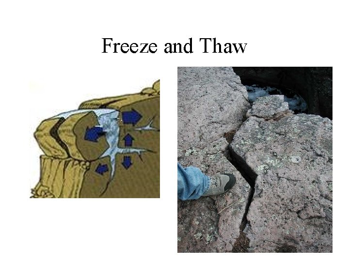 Freeze and Thaw 