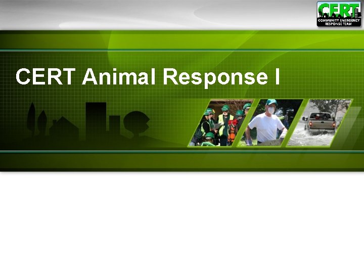 CERT Animal Response I 