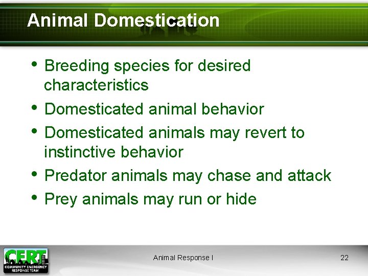 Animal Domestication • Breeding species for desired • • characteristics Domesticated animal behavior Domesticated