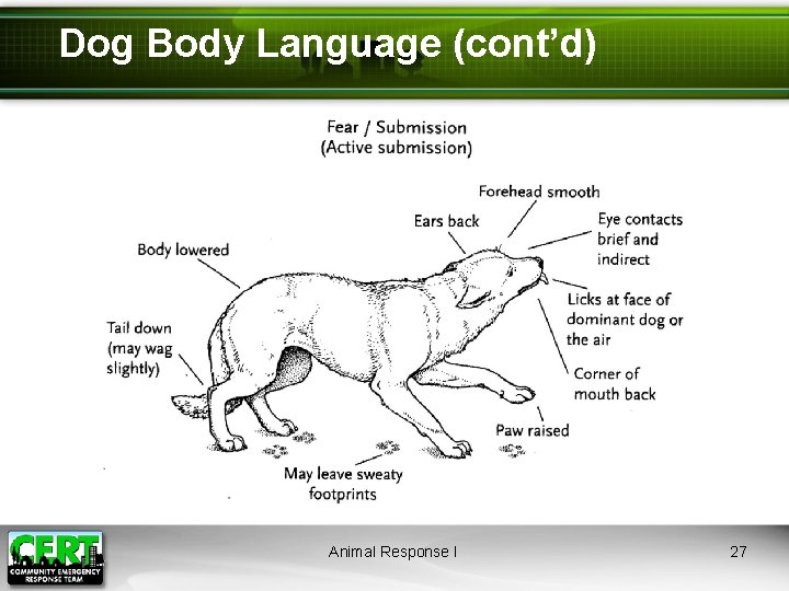 Dog Body Language (cont’d) Animal Response I 27 