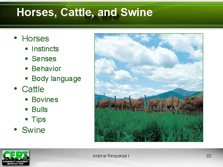 Horses, Cattle, and Swine • Horses § § Instincts Senses Behavior Body language •