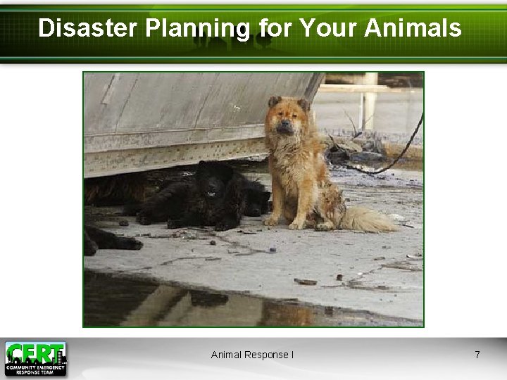 Disaster Planning for Your Animals Animal Response I 7 