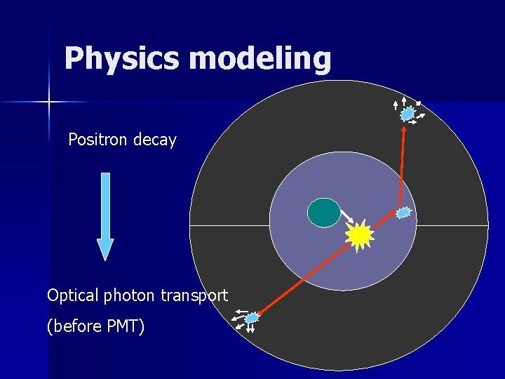 Physics modeling Positron decay Optical photon transport (before PMT) 