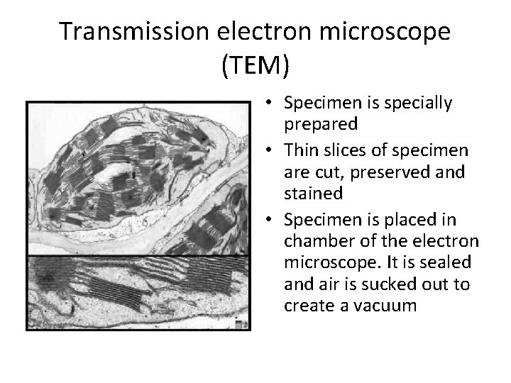 Transmission electron microscope (TEM) • Specimen is specially prepared • Thin slices of specimen