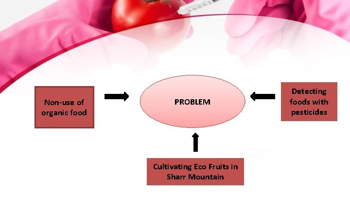Non-use of organic food PROBLEM Cultivating Eco Fruits in Sharr Mountain Detecting foods with