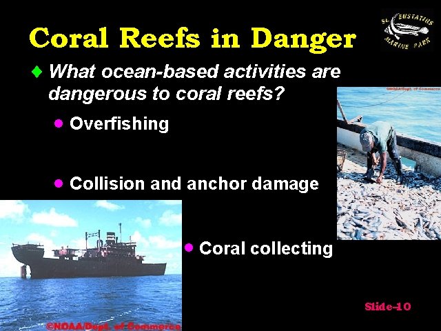 Coral Reefs in Danger ¨ What ocean-based activities are dangerous to coral reefs? ·