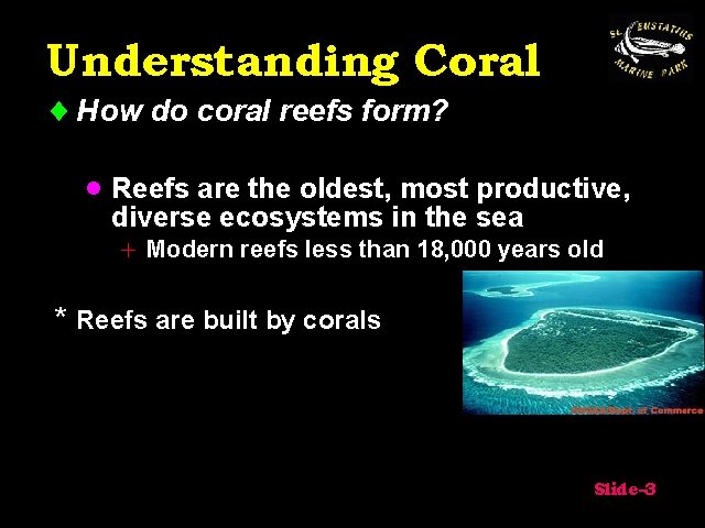 Understanding Coral ¨ How do coral reefs form? · Reefs are the oldest, most