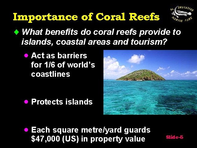 Importance of Coral Reefs ¨ What benefits do coral reefs provide to islands, coastal