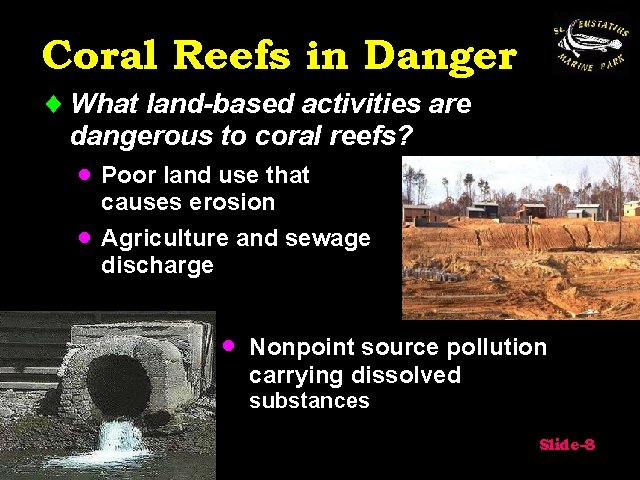 Coral Reefs in Danger ¨ What land-based activities are dangerous to coral reefs? ·