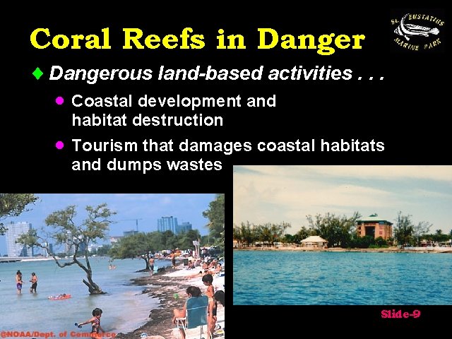 Coral Reefs in Danger ¨ Dangerous land-based activities. . . · Coastal development and