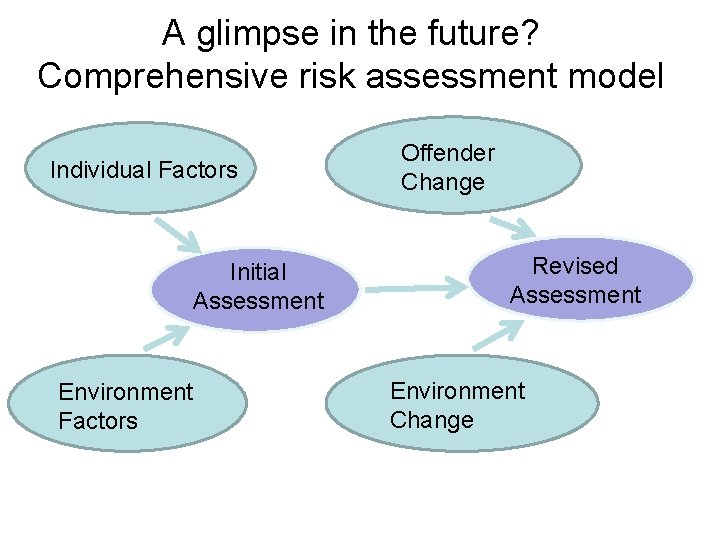 A glimpse in the future? Comprehensive risk assessment model Individual Factors Initial Assessment Environment