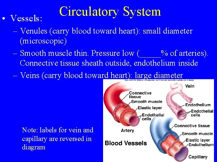  • Vessels: Circulatory System – Venules (carry blood toward heart): small diameter (microscopic)