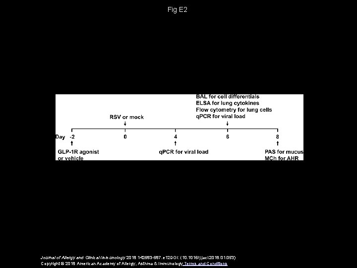 Fig E 2 Journal of Allergy and Clinical Immunology 2018 142683 -687. e 12