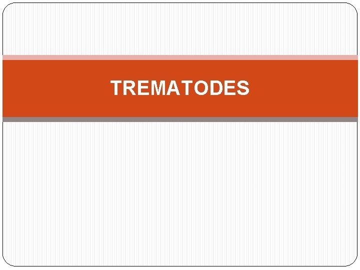 TREMATODES 