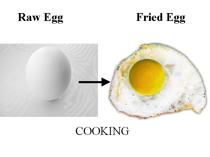 Raw Egg Fried Egg COOKING 