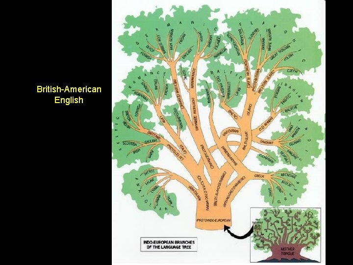 British-American English 