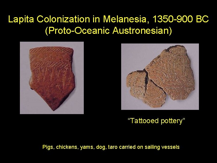Lapita Colonization in Melanesia, 1350 -900 BC (Proto-Oceanic Austronesian) “Tattooed pottery” Pigs, chickens, yams,