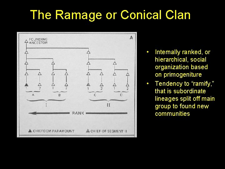 The Ramage or Conical Clan • Internally ranked, or hierarchical, social organization based on