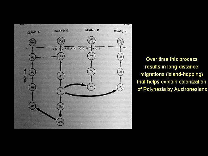 Over time this process results in long-distance migrations (island-hopping) that helps explain colonization of