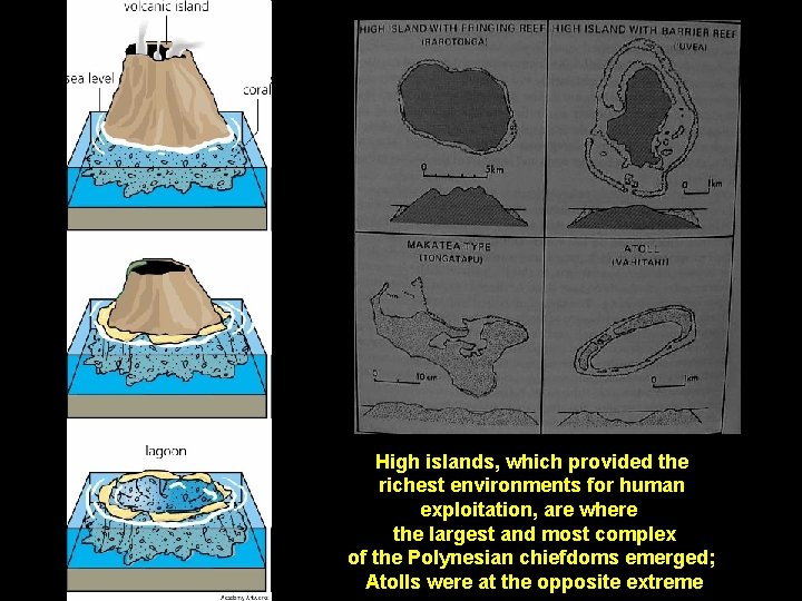 High islands, which provided the richest environments for human exploitation, are where the largest