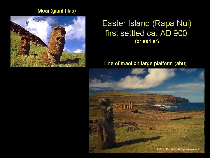 Moai (giant tikis) Easter Island (Rapa Nui) first settled ca. AD 900 (or earlier)