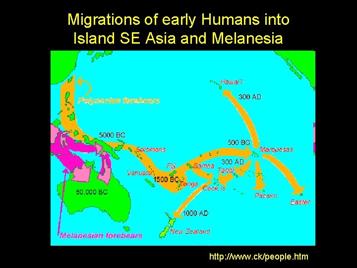 Migrations of early Humans into Island SE Asia and Melanesia http: //www. ck/people. htm