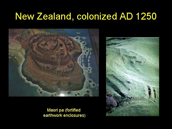 New Zealand, colonized AD 1250 Maori pa (fortified earthwork enclosures) 