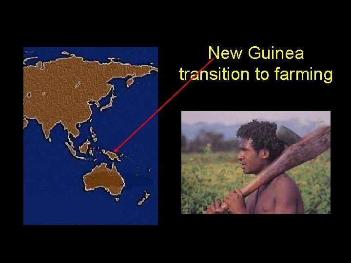 New Guinea transition to farming 